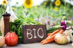 ONAGRI ; Les recettes des exportations des produits agricoles biologiques en hausse de 9,7%