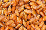 Tunisie : Les recettes d’exportation des dattes en baisse de 3,8% 