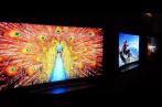 LG lance les téléviseurs OLED et PRIME UHD