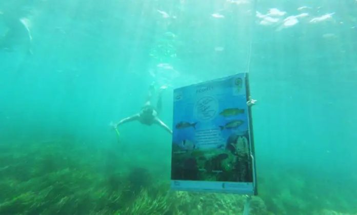 Tabarka : Inauguration d’un sentier sous-marin dans la baie de Melloula