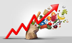 INS : Légère hausse du taux d’inflation à 7,3% en juin 2024
