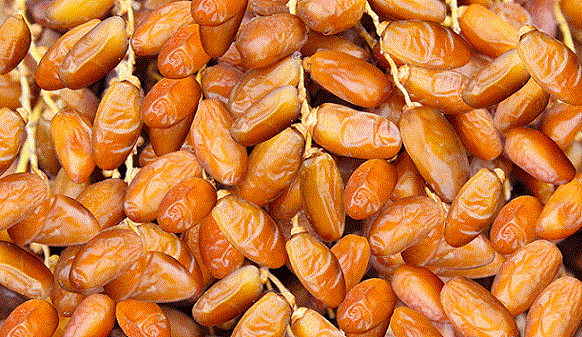 Tunisie : Les recettes d’exportation des dattes en baisse de 3,8%