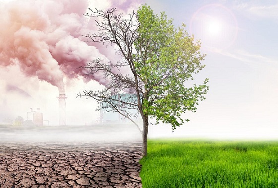 Tunisie : Une nouvelle carte agricole qui tient compte des changements climatiques s'impose