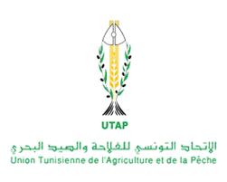 Transport agricole : L’UTAP appelle à accélérer l’activation des accords conclus