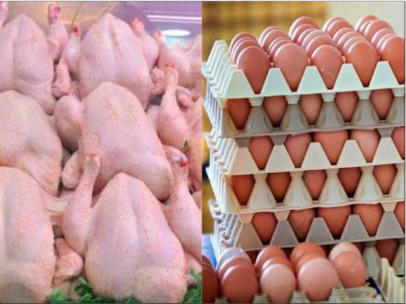 Reprise du rythme normal de l’approvisionnement du marché en viandes blanches et œufs