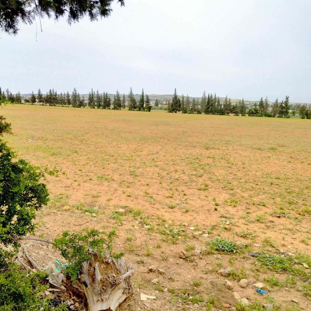 Récupération de deux terrains domaniaux agricoles de 26 ha à la Manouba et Siliana