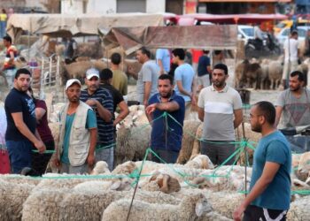 Tunisie: L’Aïd al-Adha sera scientifiquement le 27 mai