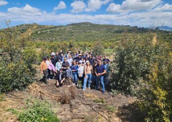Perenco Tunisie lance la troisième phase de son programme de reboisement