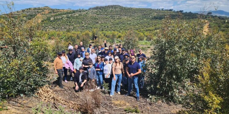 Perenco Tunisie lance la troisième phase de son programme de reboisement