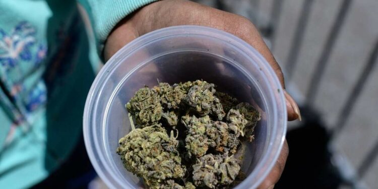 Saisie de 10 kg de cannabis : le frère d’un ancien international interpellé à Tunis