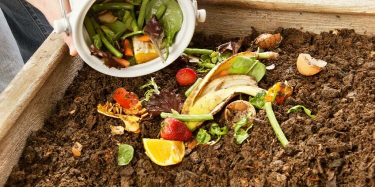 ANGED : 500 tonnes d’engrais produites grâce au programme national de compostage en 2025