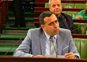 Viol, racisme et ignorance : la dérive inquiétante d’un député au Parlement