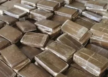 Tunisie: Démantèlement d’un réseau international de trafic de drogue