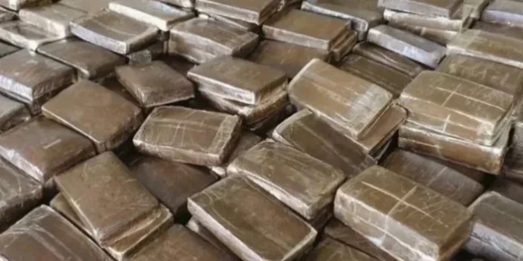 Tunisie: Démantèlement d’un réseau international de trafic de drogue
