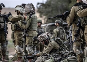 La Tunisie, championne africaine de l’investissement en France : un leadership qui bouscule les idées reçues