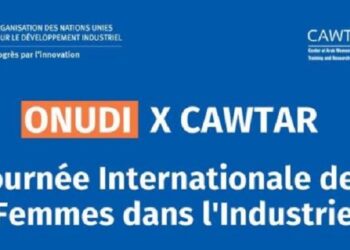 La Tunisie, championne africaine de l’investissement en France : un leadership qui bouscule les idées reçues