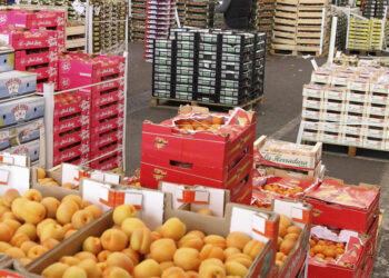 ONAGRI : hausse de 51,9 % de l’excédent de la balance commerciale alimentaire