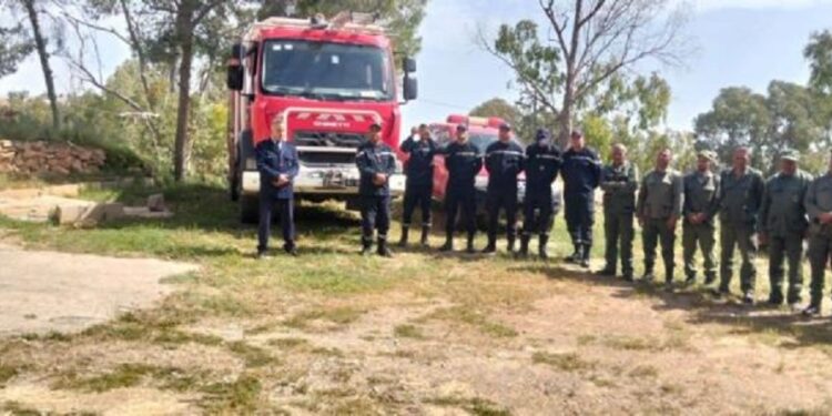 prévention risques d'incendie forêts