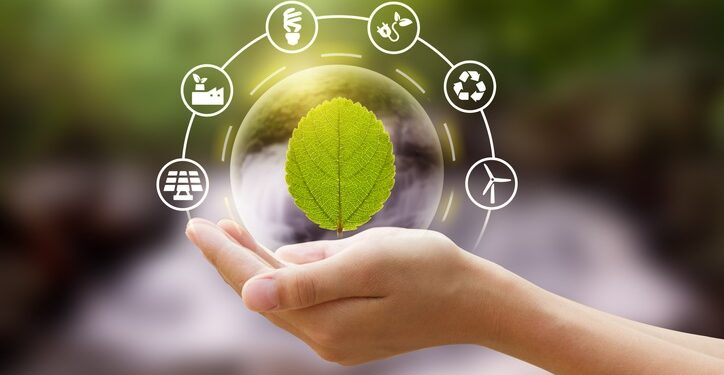 Projet Meraviglia: L’entrepreneuriat vert, un levier d’inclusion et de transition durable en Méditerranée