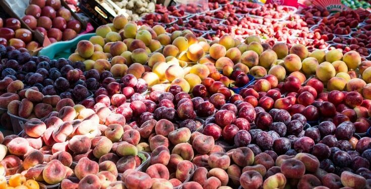 GiFruits : Hausse de 4,6% de la production de fruits d’été à noyau