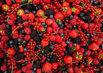 GiFruits: Les exportations de fruits en hausse de 19 % à 45,8 MD en cinq mois