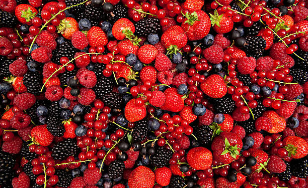 GiFruits: Les exportations de fruits en hausse de 19 % à 45,8 MD en cinq mois