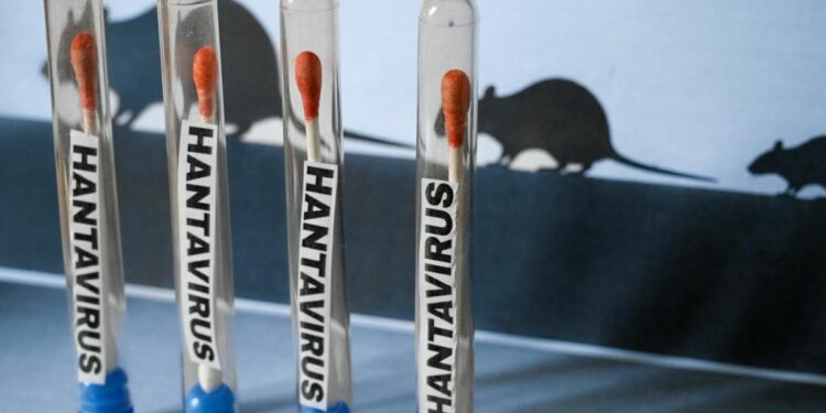 OMS : Cinq cas d&rsquo;hantavirus confirmés, dont trois décès