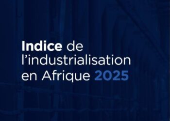 Afrique- Indice de l’industrialisation : La Tunisie dans le top cinq des principaux pays manufacturiers﻿