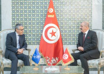 Tunisie-OIM : Le programme de retour volontaire a concerné depuis son lancement 22 377 migrants irréguliers