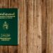 Diaspora Tunisienne: On peut désormais obtenir son passeport sur place dans ces 3 pays