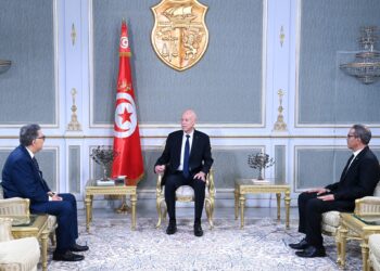 Tunisie: Saied met en garde contre la désinformation