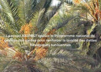 BIOREST appuie le développement et la valorisation des dattes biologiques tunisiennes