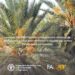BIOREST appuie le développement et la valorisation des dattes biologiques tunisiennes
