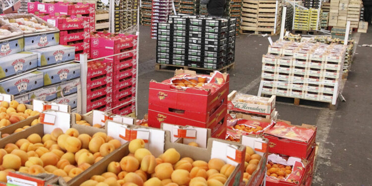 ONAGRI : excédent de 943 MD de la balance commerciale alimentaire à fin mai 2026
