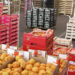 ONAGRI : excédent de 943 MD de la balance commerciale alimentaire à fin mai 2026
