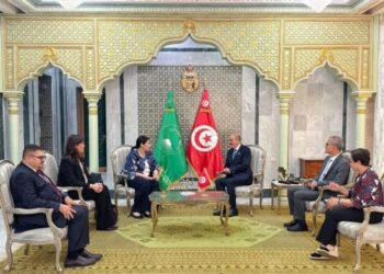 Tunisie -Union africaine : Nafti plaide pour une réforme participative et inclusive