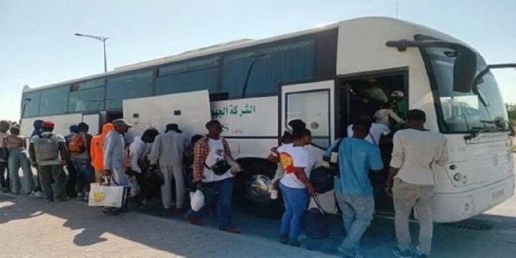Retour volontaire : 4500 migrants subsahariens rapatriés dans le cadre du programme﻿