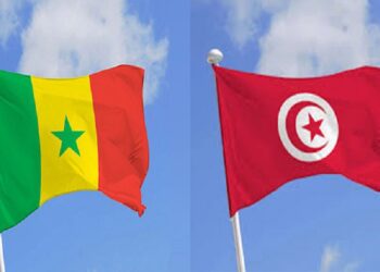 Tunisie-Sénégal : une mission économique tunisienne explore les opportunités d’investissement et de partenariat﻿