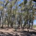 Green4Value : Lancement officiel du projet de conservation et de valorisation de la biodiversité des arboretums
