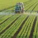 Tunisie: Tataouine mise sur les céréales irriguées pour renforcer la sécurité alimentaire 