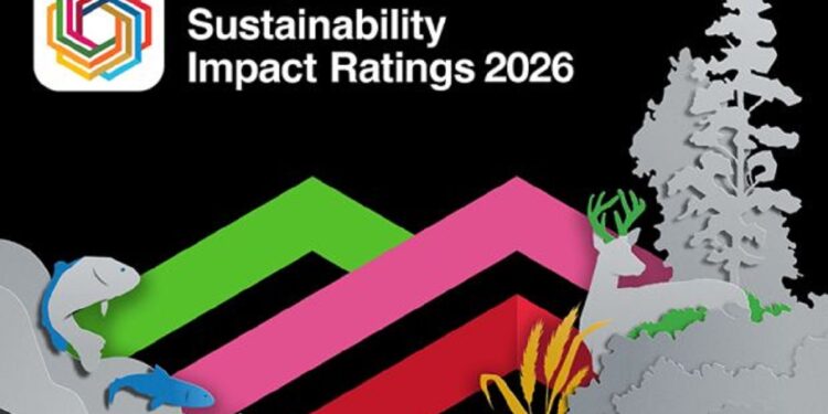 5 universités tunisiennes dans des positions avancées dans le classement « THESI 2026″