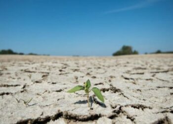 Désertification: La planète perd chaque seconde l’équivalent de 4 terrains de football de terres fertiles