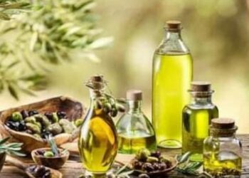 Huile d’olive : Hausse de 44,9% de la valeur des exportations de novembre à mai