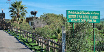 Tunisie: L’UICN accorde 2 millions de dollars pour restaurer le parc national de l’Ichkeul