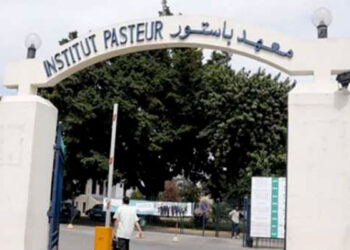 Tunisie: Reprise de la production des sérums thérapeutiques à l’Institut Pasteur