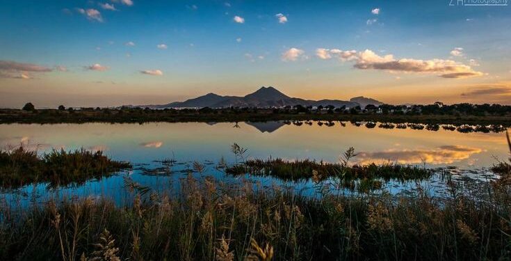 Réserve du Lac de Tunis, une biodiversité menacée mais riche