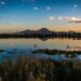 Réserve du Lac de Tunis, une biodiversité menacée mais riche