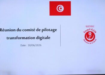 Santé : Lancement expérimental de la déclaration numérique des naissances﻿