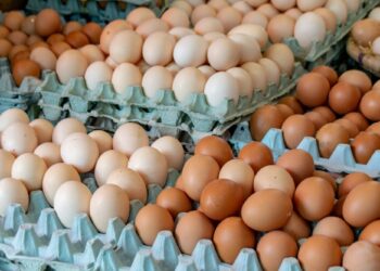 Saisie de plus de 10 mille oeufs à La Manouba pour hausse illégale des prix