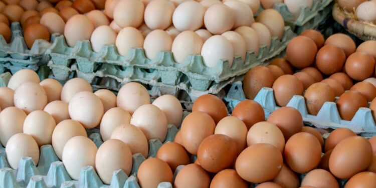 Saisie de plus de 10 mille oeufs à La Manouba pour hausse illégale des prix